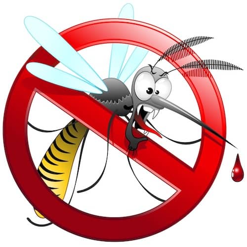 Zanzara cartoon con simbolo di divieto